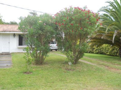 Casa en RincÃ³n del Indio, 2 dormitorios *