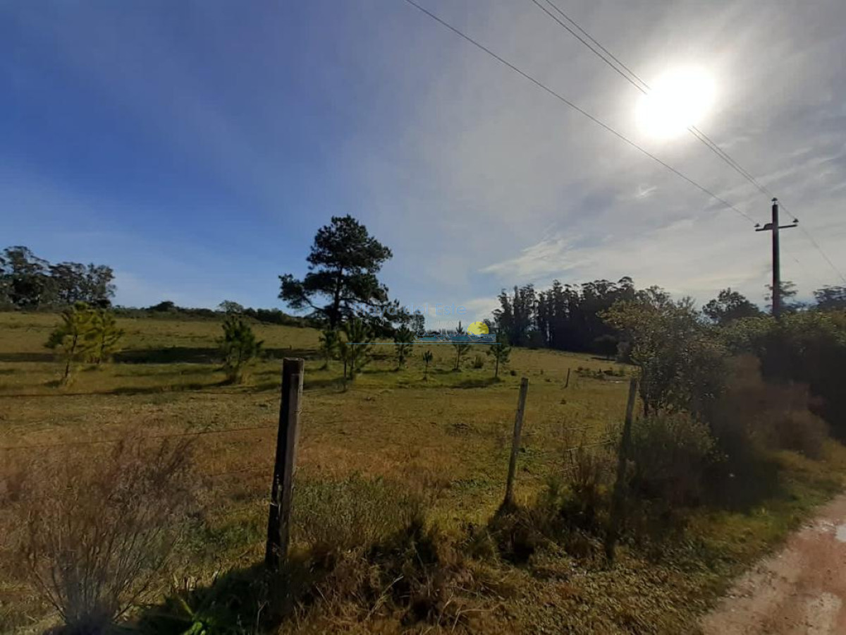 Camino Lussich - GoPunta - Portal Inmobiliario de Punta del Este - Maldonado