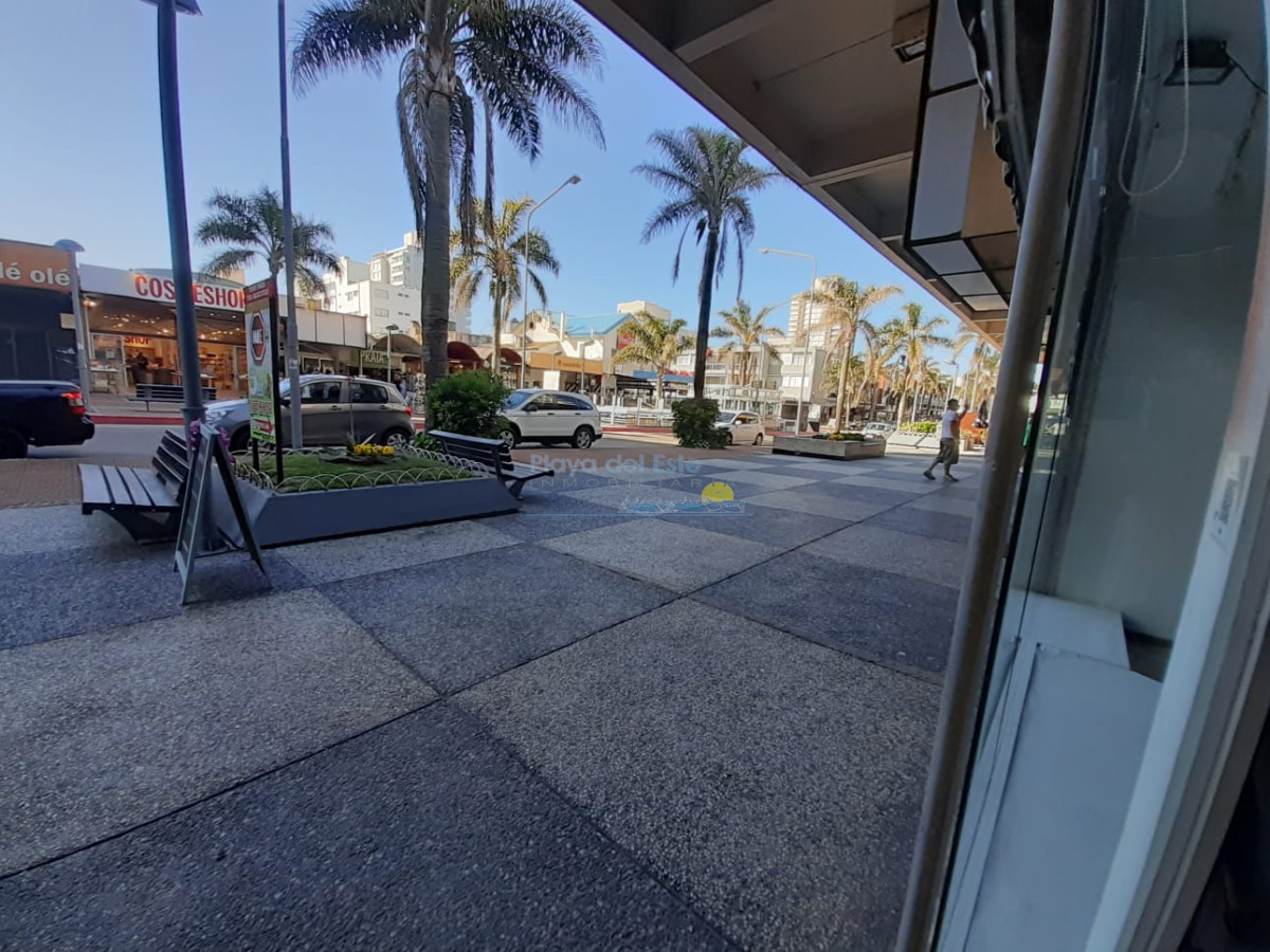 Peninsula - GoPunta - Portal Inmobiliario de Punta del Este - Maldonado
