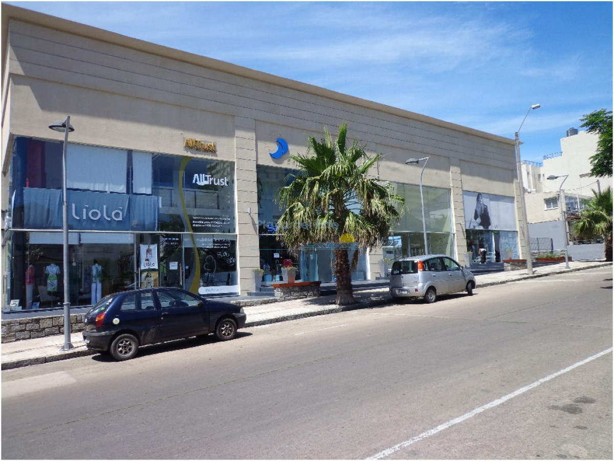 Peninsula - GoPunta - Portal Inmobiliario de Punta del Este - Maldonado