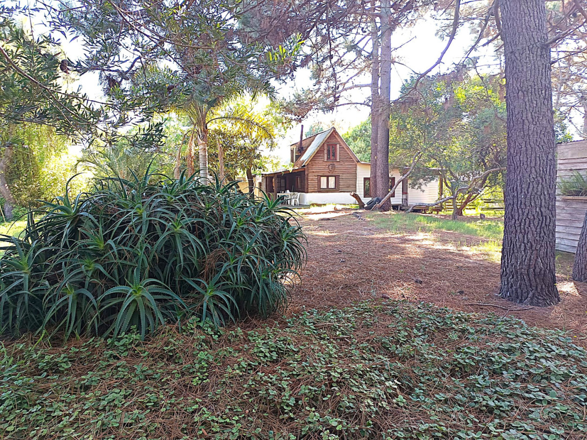 Imagen de Atencion!! Cabaña en venta en La Paloma