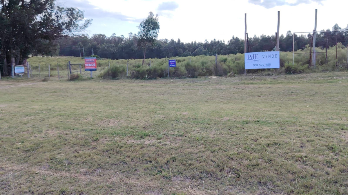 Imagen de Chacra sobre Ruta 104 - Manantiales | Proyecto ideal para fraccionamiento en lotes de 2.000 a 5.000 m²