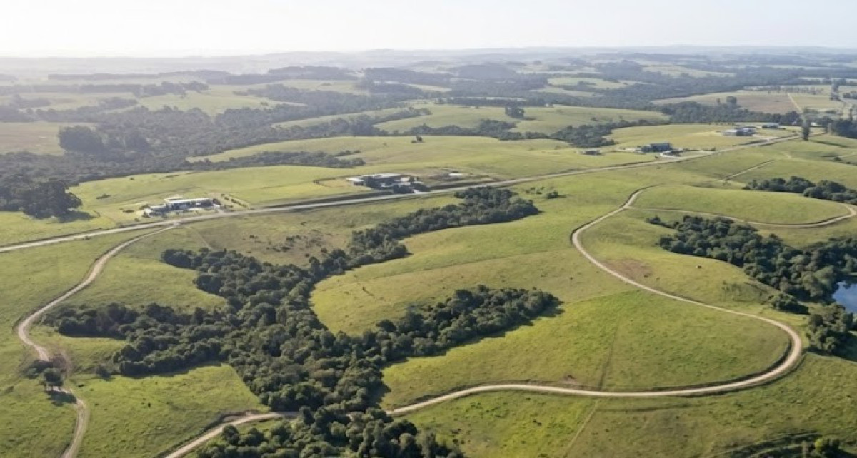 Imagen de Campo  Proyecto de Fraccionamiento - Camino Eguzquiza (Maldonado)Cerro Eguzquiza | Macrolote de 200 Hectáreas con Proyecto de Fraccionamiento Aprobado