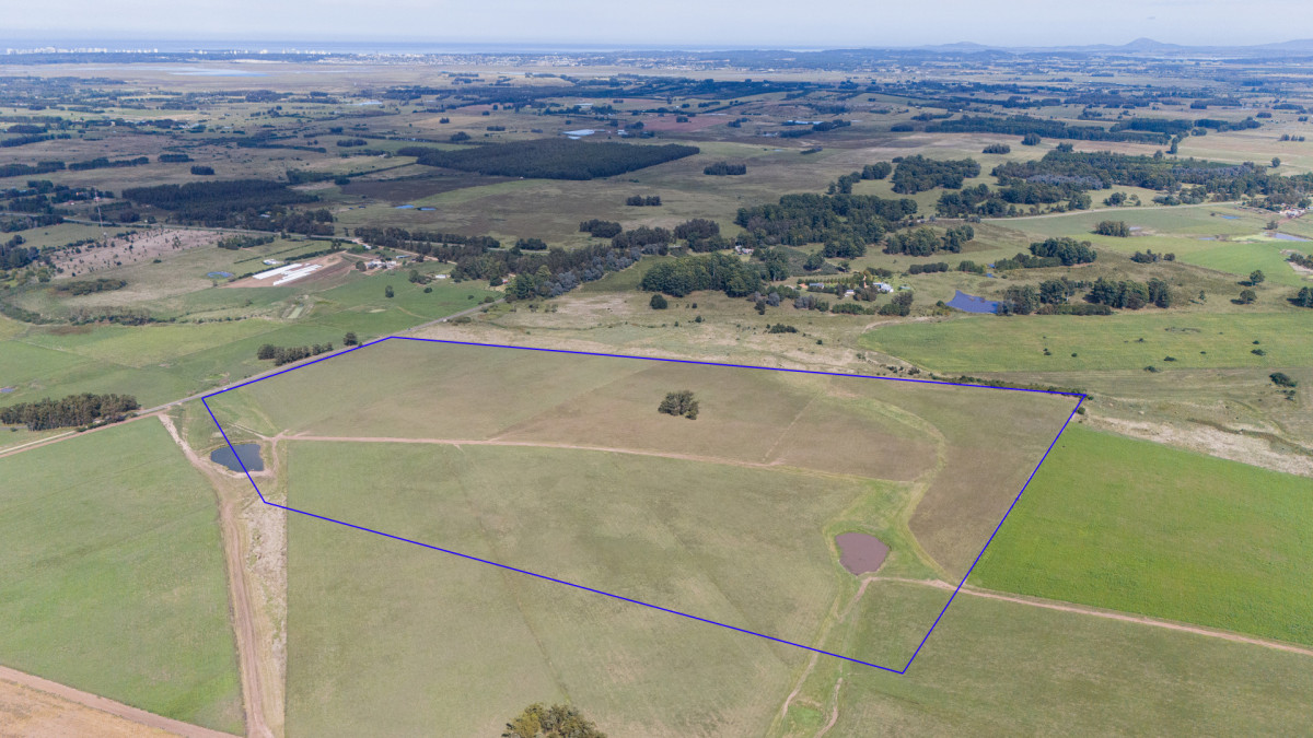 42 hectáreas para desarrollo | Camino Medellín