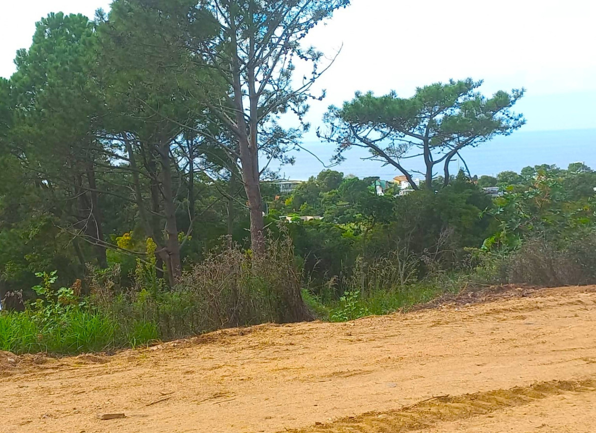 Terreno en venta en Punta Ballena!!