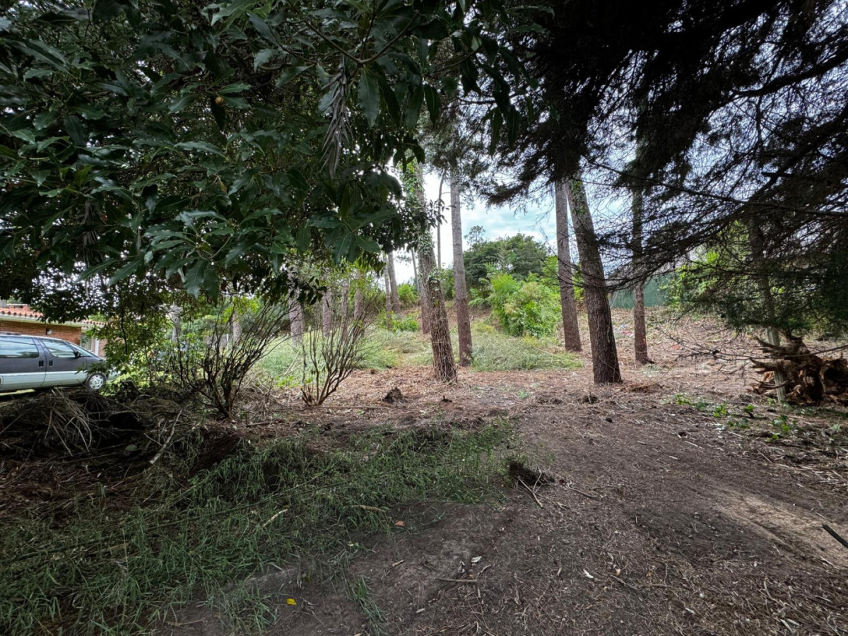 VENTA TERRENO EN CANTEGRIL