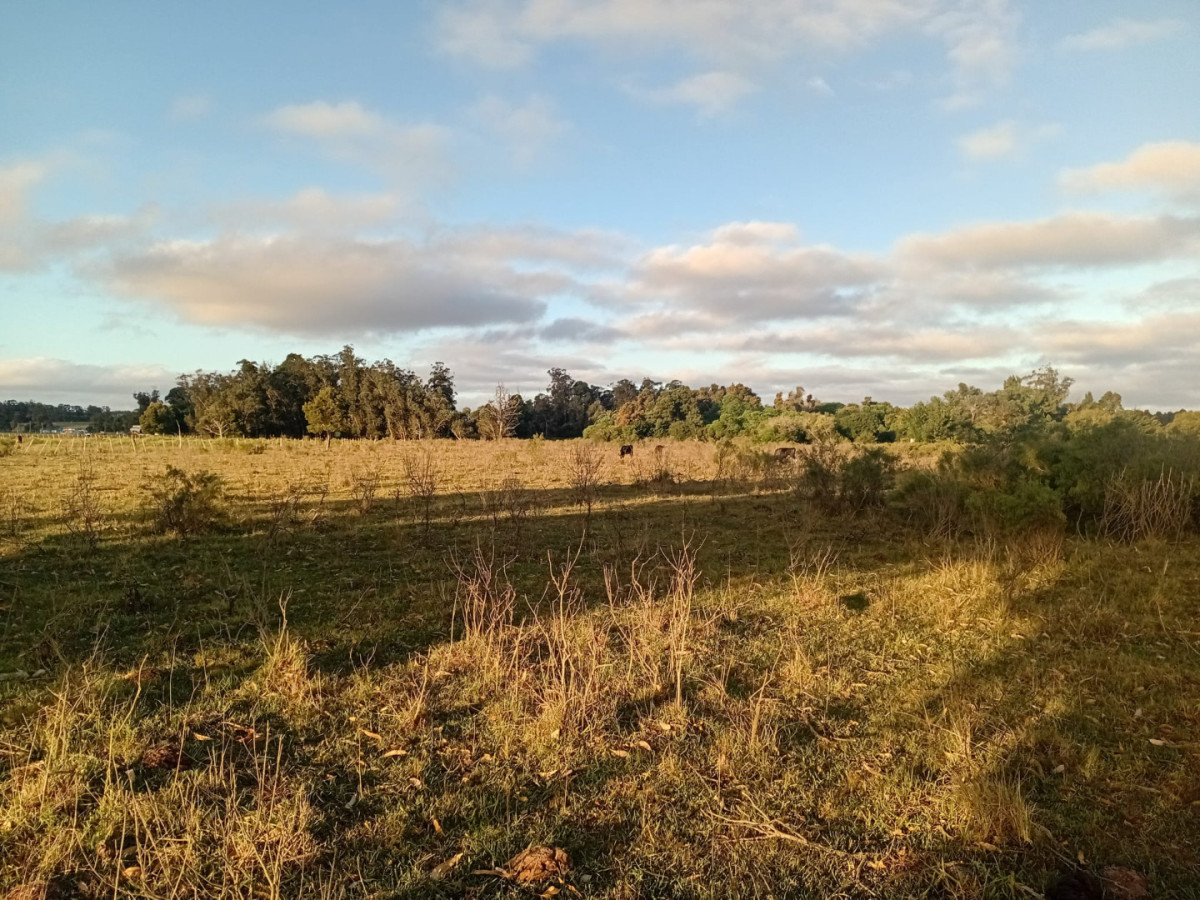 Chacra Ciudad de Rocha