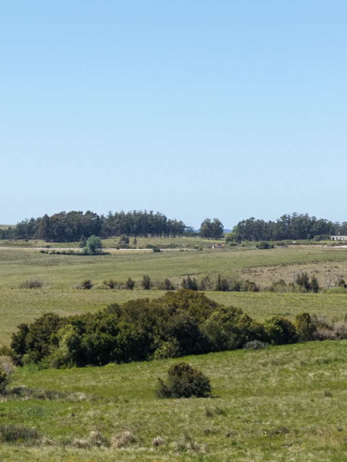 Chacras de 3 hectáreas Ama José Ignacio , desde U$S 55.000 ****Financiadas