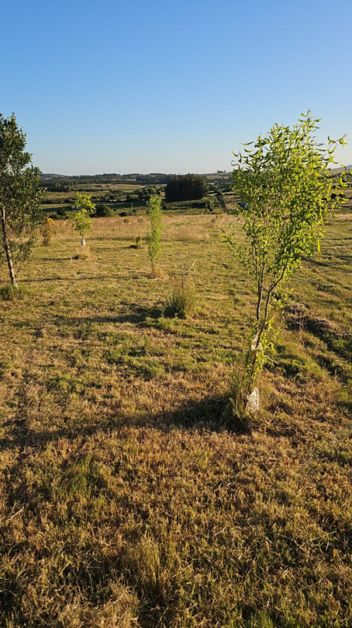 Chacra en Pan de Azúcar 