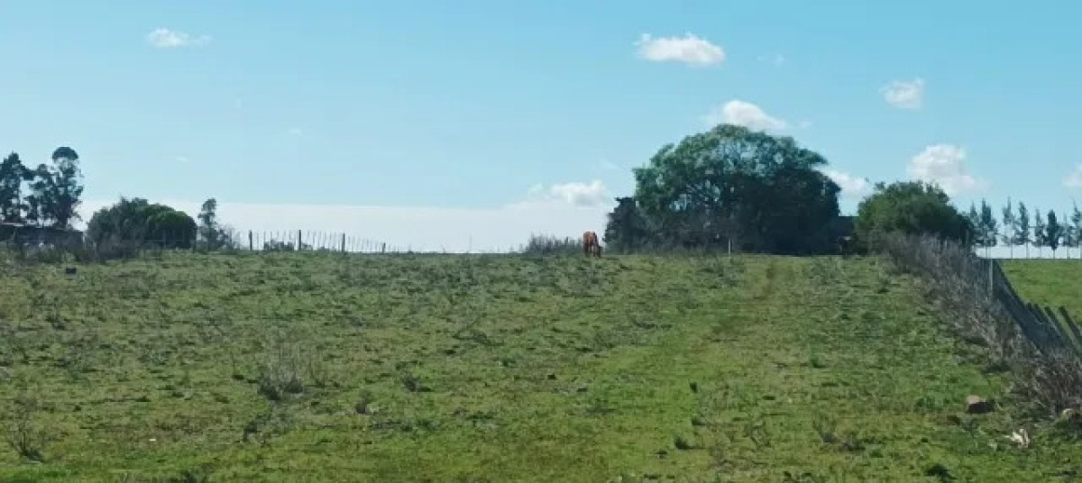 Chacra en Ruta 39