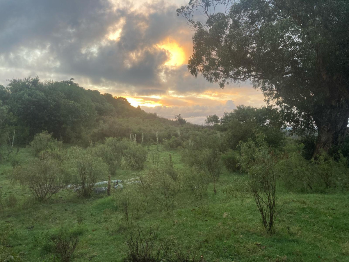 Oportunidad usd 60.000 Chacra 7,7 hectareas a 12 km de Garzon 