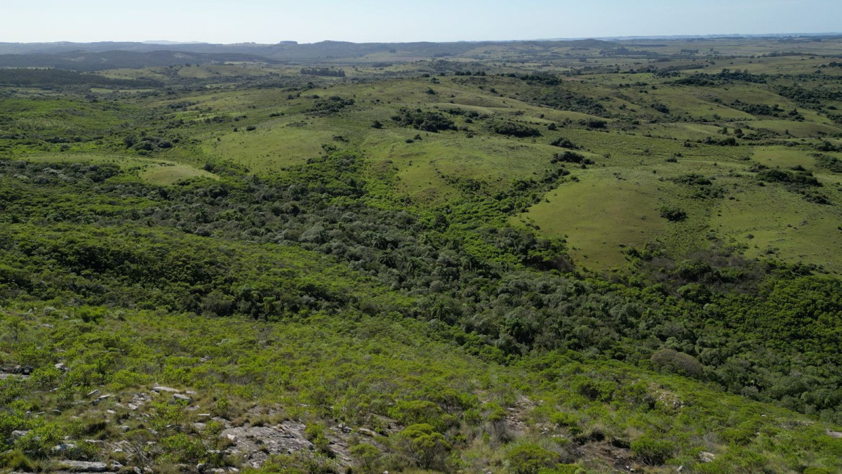 Sierras de Los Rocha