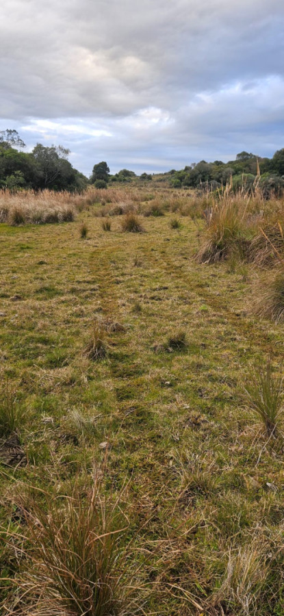 Campo Puntas de Don Carlos