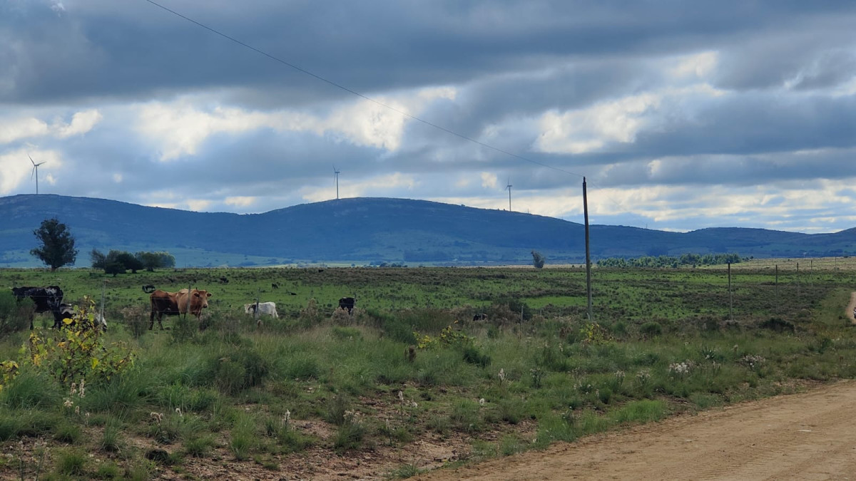 Fracción de Campo