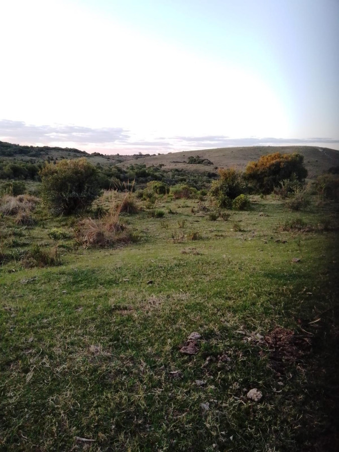 Campo Cerro Aspero Rocha