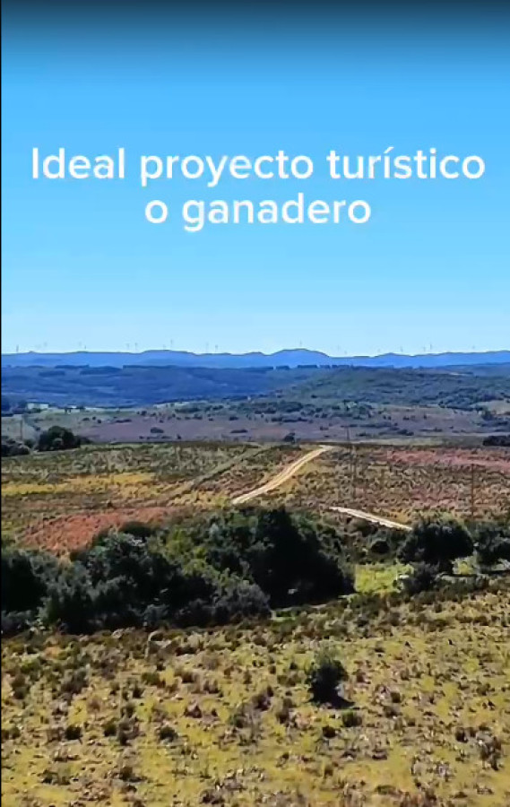 Campo en Garzón 