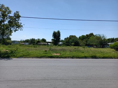 Venta Terreno 2272m2 Young Rio Negro V 