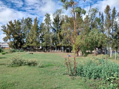 Venta casa y local y terreno,Mendoza Chico, Florida, 2670mt