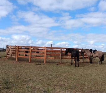 venta campo de 10hs Maldonado, Rincon de Los Ignacios