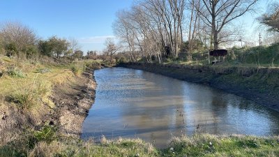 Venta campo 8 hectareas, Cerrillos