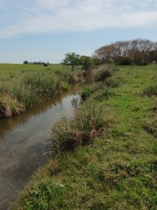 venta campo de 10hs Maldonado, Rincon de Los Ignacios
