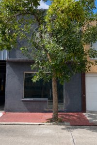 Alquiler Local Comercial. Centro. San José De Mayo.