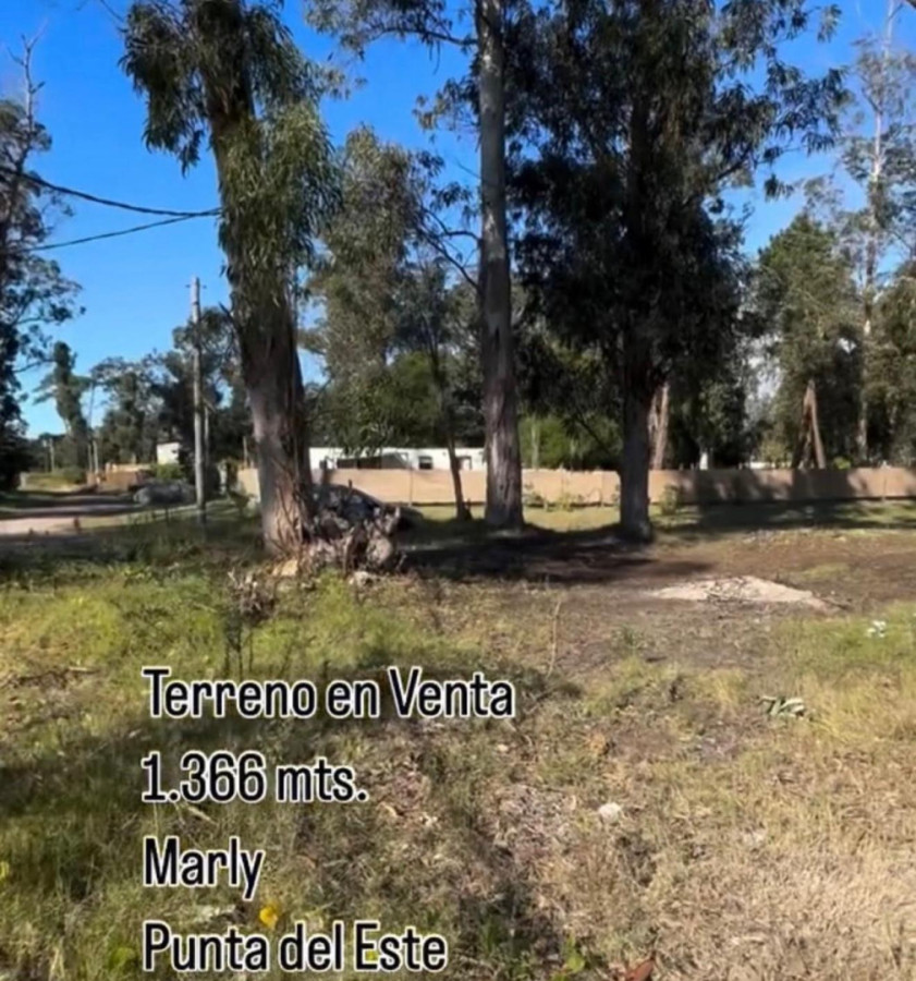 Terreno en Venta en Barrio Marly, Punta del Este