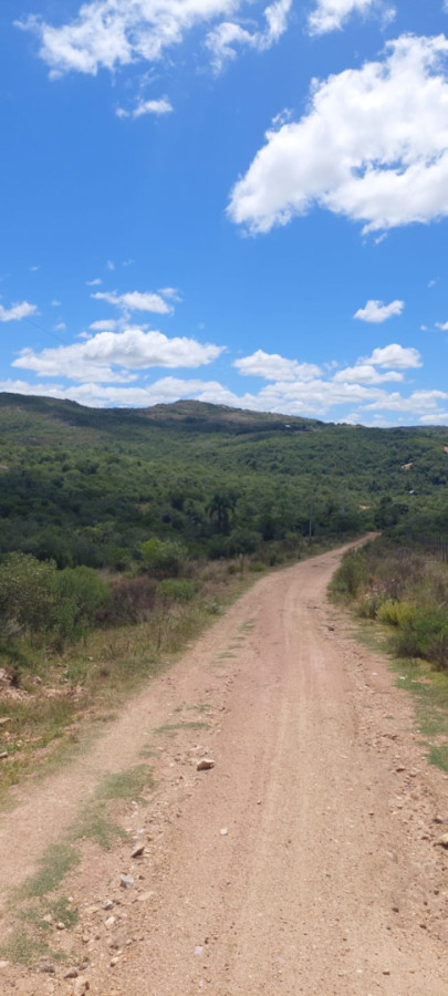 Venta de Chacra de 5 Hectareas  en Secretos de Los Talas  
