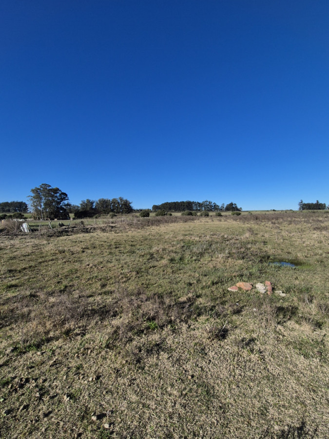 Imagen de Campo en Paraje Las Corujas
