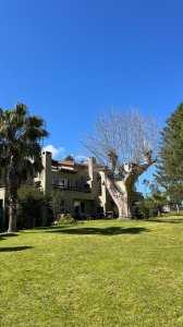 Departamento tipo casa Serenity Brava en venta; Rincon del Indio