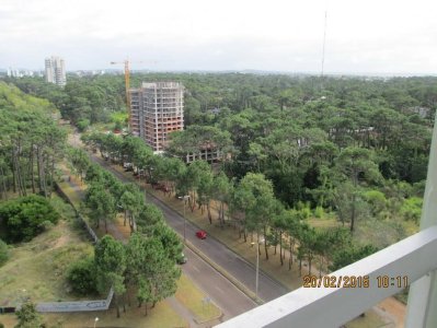 Apartamento en Roosevelt, 3 dormitorios *