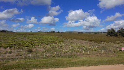 CHACRA EN ZONA LAGUNA DEL SAUCE 