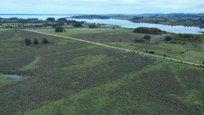 OPORTUNIDAD DE INVRERSIÓN VENTA DE CHACRA EN LAGUNA DEL SAUCE  11 HAS