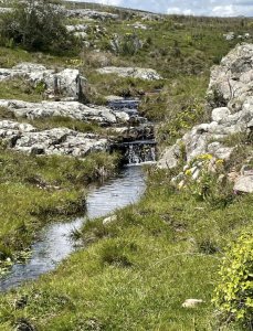 VENTA DE CHACRA ZONA AIGUA