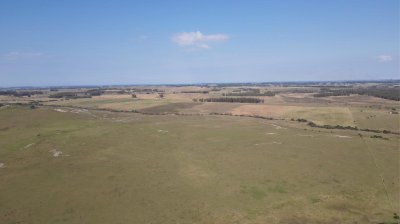 VENTA CAMPO CRIADOR Y TURISTICO 123 HAS EN MALDONADO 