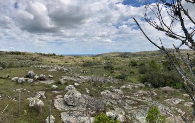 VENTA DE CAMPO PRÓXIMO AIGUA 5 HAS