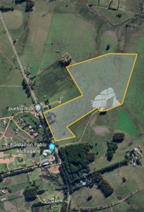 VENTA DE CAMPO 43 Hrs SOBRE RUTA 104