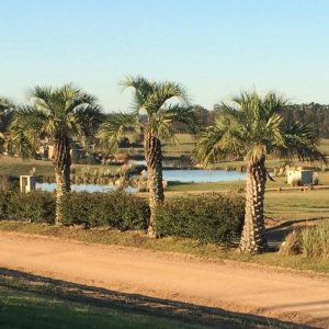 VENTA DE TERRENO EN PUEBLO MÍO