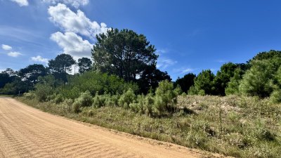 OPORTUNIDAD TERRENO DE 1200 METROS EN BARRA VERDE