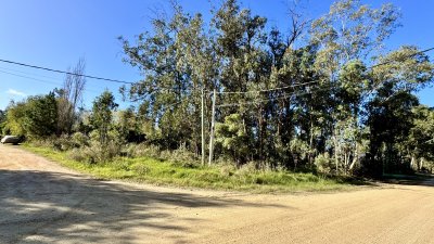OPORTUNIDAD TERRENO ARBOLADO Y ESQUINERO EN MIRAMAR ACRES 