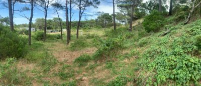 Terreno en venta en Rincón del Indio, 1000 m2, oportunidad de inversión!