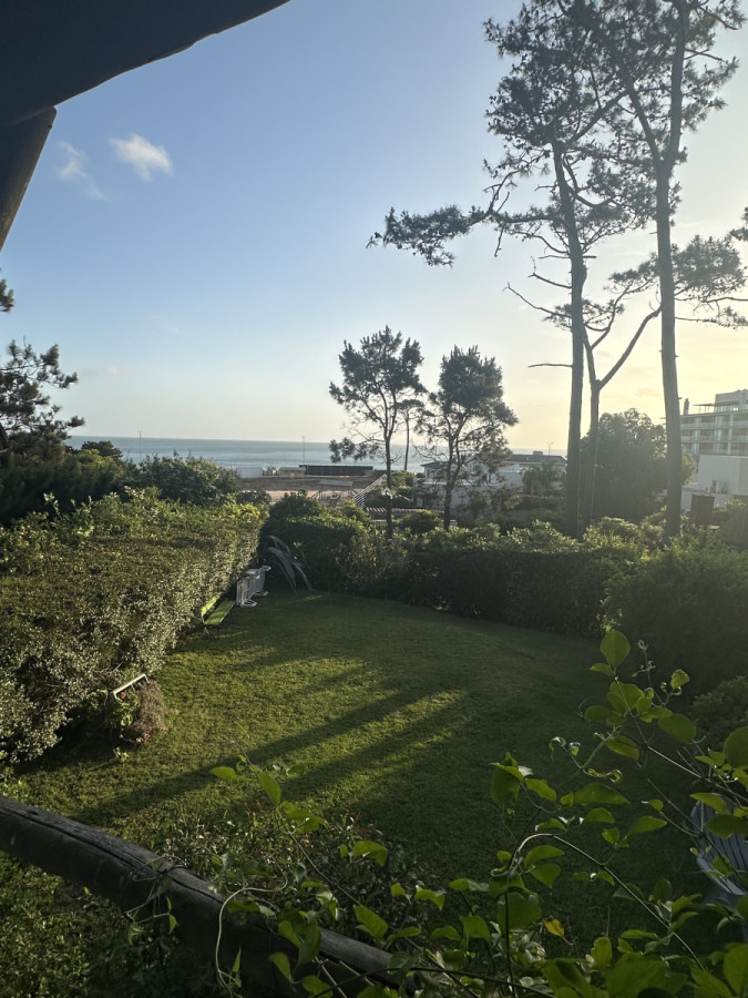 Libre todo enero, Pinares parada 33