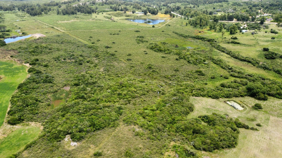 Venta de chacra de 8has, Pan de azúcar 