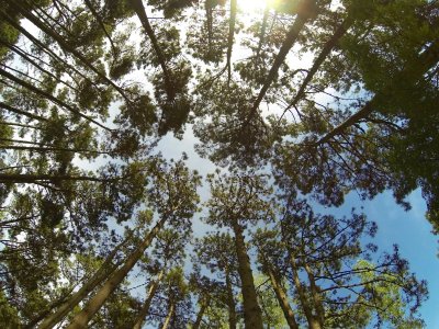 Venta Excepcional Terreno en Rincon del Indio 35000 metros