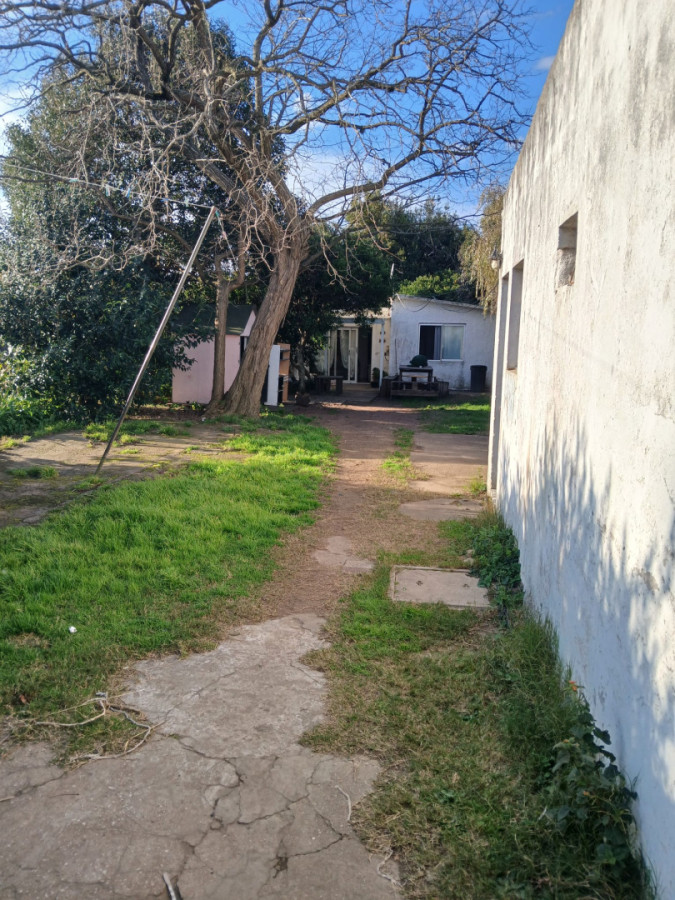 Se venden 2 casas + apartamento + Galpón, Maldonado.