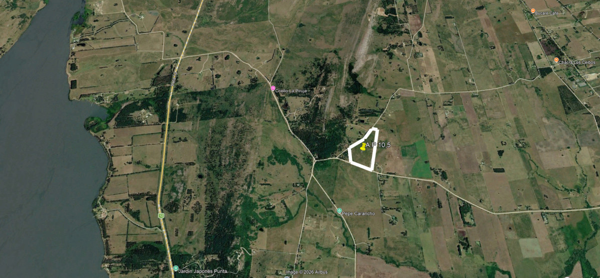 Se vende Chacra de 10,5 has en Laguna del Sauce.