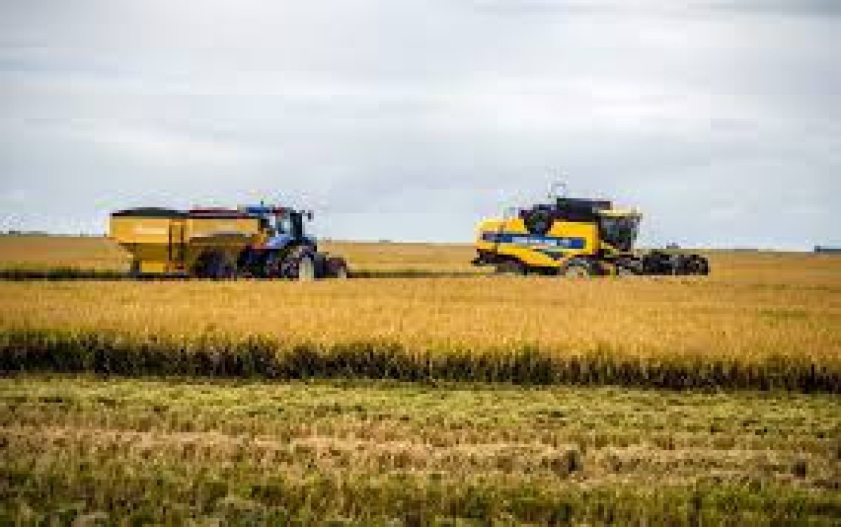  Campo Agrícola-Ganadero 1508 has en Rocha en venta 