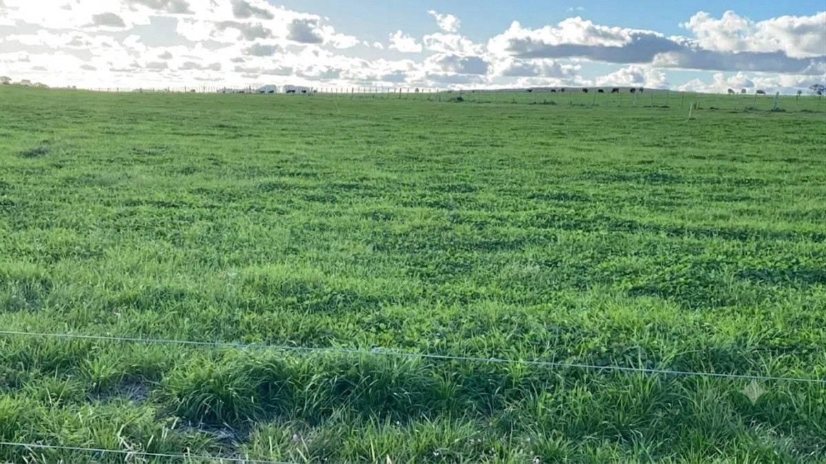 Campo agrícola ganadero 1000 hectáreas 