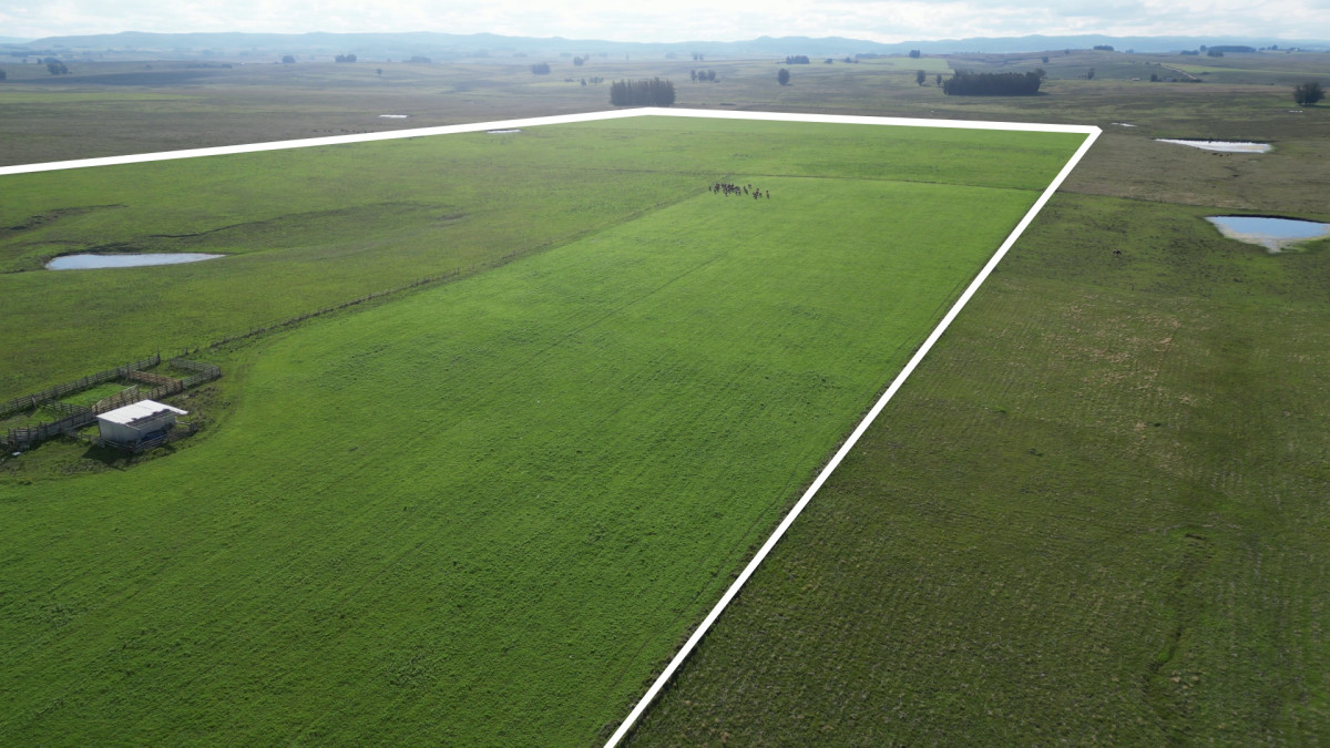 Campo con mejoras en Cañada Bellaca - Ganadero - 