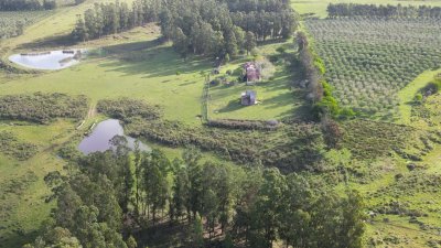 Campo en Zona de José Ignacio | 30 Has con mejoras 